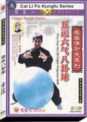 Choy Li Fut Chi Kung Bagua Ball